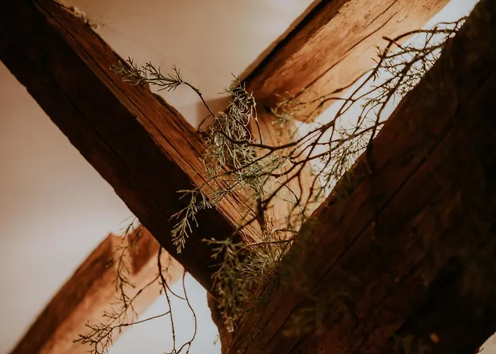 La - By Prim0 C0nciergerie Apartament Gerzat